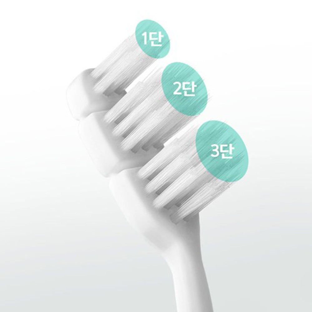 DENCLE All In One Toothbrush Box (Total 12)