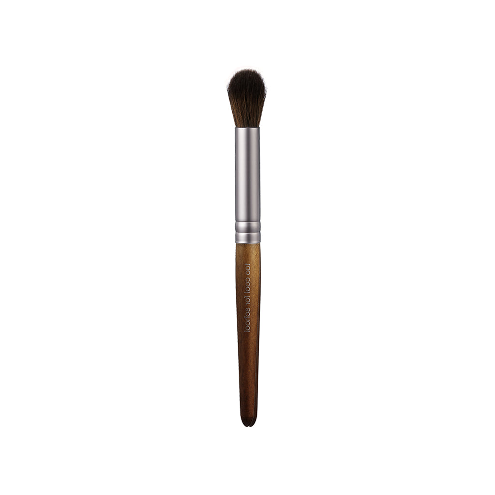 TCFS Artclass Vegan Brush Kit 4